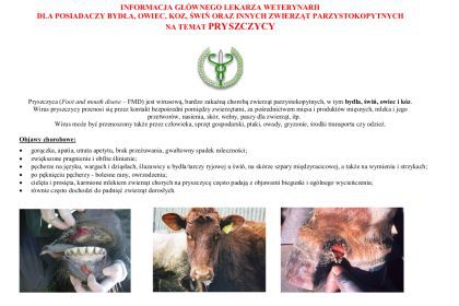 Informacja głównego lekarza weterynarii dla posiadaczy bydła, owiec, koz, świń oraz innych zwierząt parzystokopytnych na temat pryszczycy
