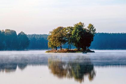 Oferta na realizację zadania publicznego ,,Od aktywności ruchowej do aktywności społecznej”.